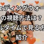 「ウェディングウォーズ」の視聴方法は？リアルタイムで見る方法も紹介